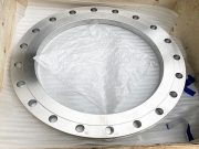 Titanium Forging Flanges