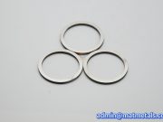 Hastelloy C276 Gaskets