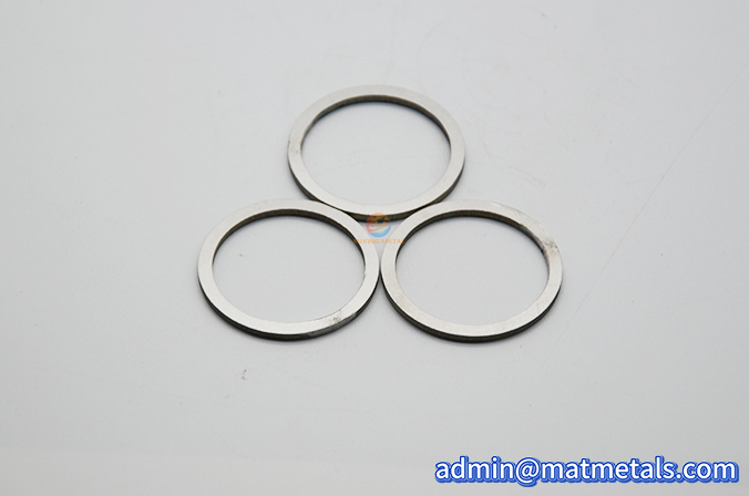 Hastelloy C276 Gaskets